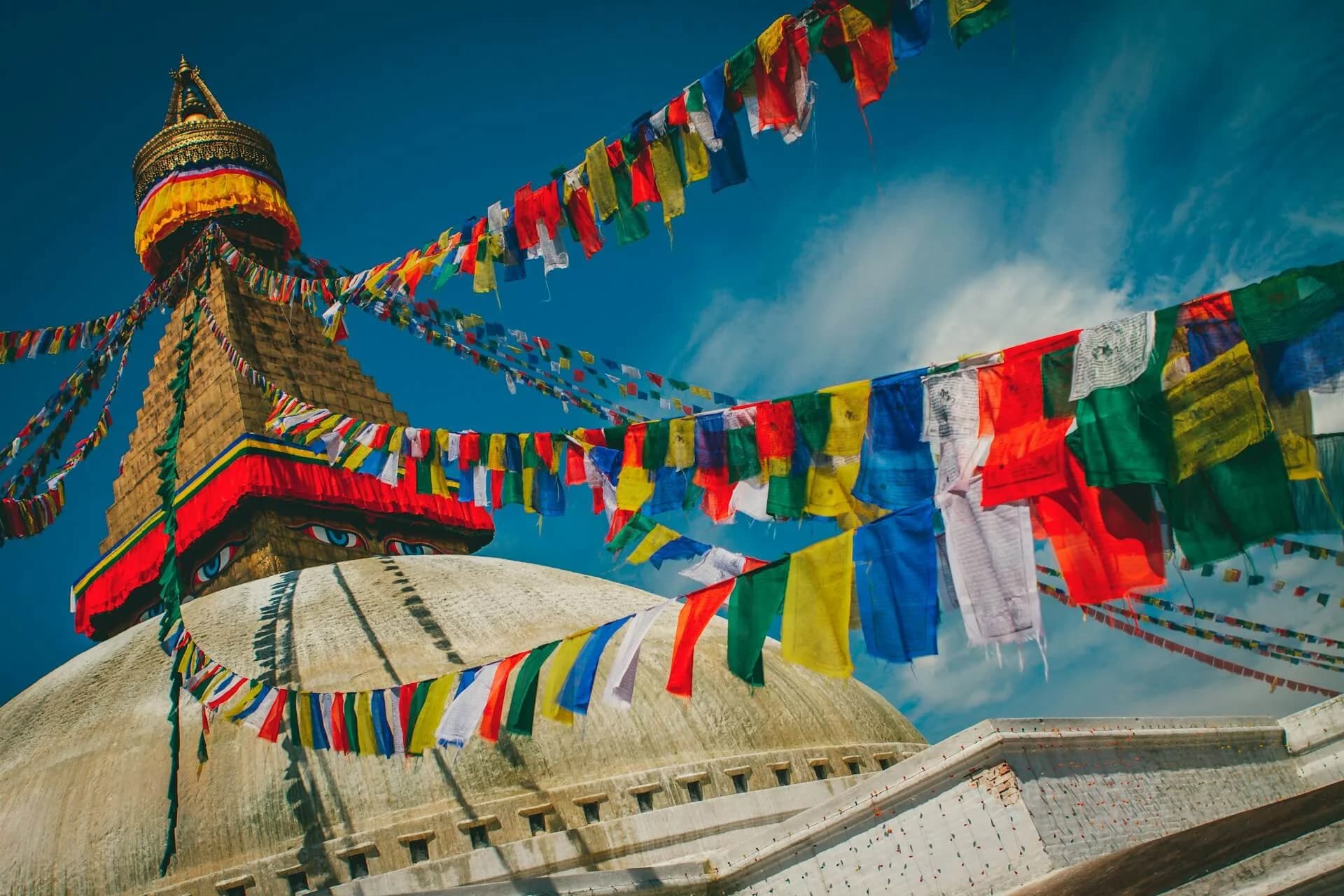 The Silent $500 Million Unicorn Hiding in the Himalayas